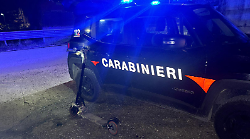 Ubriachi alla guida, controlli a raffica dei carabinieri: boom di patenti ritirate