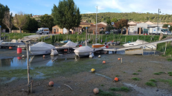 Trasimeno, nuovi studi per salvare il lago: confronto con&nbsp;Neusiedl