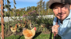 I vip innamorati di galline & C., a partire da David Beckham. E i pollai tornano di gran moda