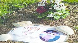 Si chiamava Siria la prima gatta sepolta nel cimitero dei pet a Terni. Il Comune pubblica la lista dei costi