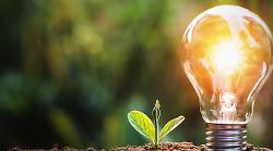 Intervista a Marco Donnini: la visione e la crescita di Green Energie Srl