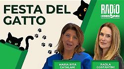 Umbria in diretta - puntata di lunedì 17 febbraio: la festa del gatto con  la veterinaria Maria Chiara Catalani