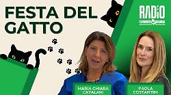 La festa del gatto a Umbria in diretta oggi in onda su Radio Corriere dell'Umbria: ospite la veterinaria Maria Chiara Catalani