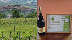 Il rosso Mammi prodotto dall'azienda Tanganelli secondo ai mondiali del vino biologico a Montpellier