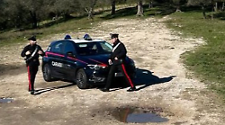 Narni, spara al gatto del vicino con un fucile. L'animale ha perso la vista. Denunciato dai carabinieri un 76enne