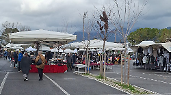 Terni, gli ambulanti del mercatino settimanale fanno appello al sindaco: "Non mandi in pensione l'impiegata dell'ufficio commercio"