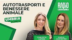 Umbria in diretta - puntata di lunedì 10 marzo: autotrasporti e benessere animale con Carlotta Caponi