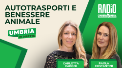 Umbria in diretta in onda lunedì 10 marzo su Radio Corriere dell'Umbria: autotrasporti e benessere animale con Carlotta Caponi