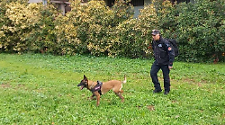 Terni, a scuola con i carabinieri forestali. Lezioni di educazione ambientale per i ragazzi dell'istituto Marconi