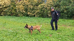 Terni, controlli a tappeto nei parchi contro le esche avvelenate. Pericoli per i cani e i bambini che giocano