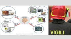 Vigili del fuoco morti di glioblastoma, si indaga sui turni di servizio e sugli interventi ai quali parteciparono i quattro uomini