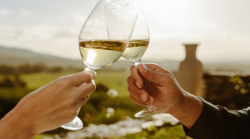 I vini più consumati in Umbria, il Trebbiano domina la top 5: migliora il mercato nella grande distribuzione