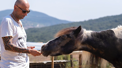 Così un polpo gli ha cambiato la vita, Francesco Cortonesi racconta: "La svolta vegan e l'impegno per gli animali"