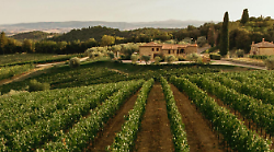 Boschetto Campacci svela il vino Masgalano a Vinitaly 2025: ecco il nuovo Igt Toscana Rosso