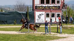 Corsa all'Anello, l'esito delle prime prove ufficiali al campo de li Giochi. Ecco chi sono i cavalieri dei terzieri