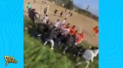 L'esultanza sfrenata dei tifosi dell'Arna finisce a Striscia la notizia: il video