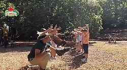Città della Domenica: il parco delle meraviglie tra natura, animali e fiabe a Perugia