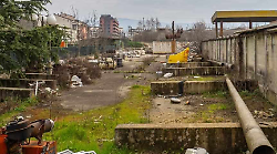 Blitz dei carabinieri forestali e di Arpat davanti al cavallo di Aceves nel deposito comunale