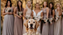 Tutte le tendenze matrimonio  per il 2025: la moda sposa,  i colori e le decorazioni più popolari e le nuove figure professionali