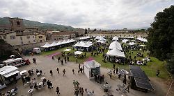 Only Wine, vini giapponesi, piccole cantine e rarità: parte la tre giorni del vino a Città di Castello