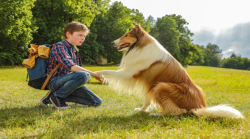 Lassie torna a casa stasera in tv domenica 27 aprile su Rai 1: trama e cast del film 