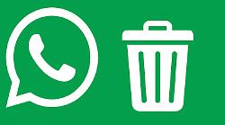 Memoria piena su WhatsApp? Scopri il trucco del cestino nascosto. Come si utilizza la funzione poco conosciuta