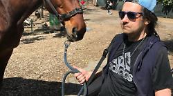 Mattanza dei cavalli, gli imputati verso il patteggiamento. L'associazione Horse Angels: "Ingiusto"