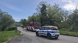 Città di Castello, tagliato albero pericolante. Rischiava di cadere sulle auto in transito sulla strada provinciale 105