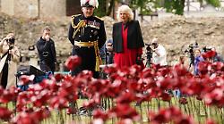 La Regina Camilla e il papavero rosso della memoria: quel gesto che parla al domani