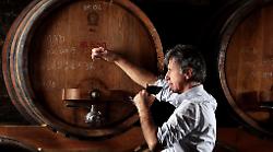 Il Sabato del Vignaiolo: un viaggio tra 150 vini umbri e le storie dei vignaioli indipendenti