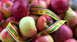 Frutta, ad Arezzo -50% di alberi in 10 anni: Coldiretti lancia l'allarme e chiede regole più eque e sostegno alle aziende