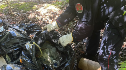 Amelia, sorpreso a gettare rifiuti in mezzo ad un bosco. Incastrato dalle telecamere e denunciato dai carabinieri forestali