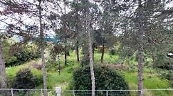 Terni, restyling e bonifica del parco Rosselli. Saranno tolti di mezzo tutti gli alberi. Riunione in Comune