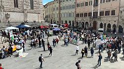 Diversamente creativi conquista l'acropoli tra laboratori, sport e musica all'insegna dell'inclusione
