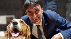 Reati contro gli animali, il senatore Potenti: "Serve una legge più dura e chiara". Atteso a Perugia il convegno della Lega a tutela degli animali