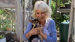 Camilla e Moley: quando un cucciolo racconta più di un comunicato ufficiale