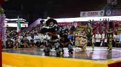 A Perugia il meglio del Kung Fu internazionale