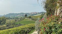 "Il vino in anfora" lancia la rievocazione Ocriculum AD 168 e il progetto "Terre di Otricoli"