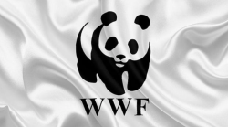 Caccia, le critiche del Wwf sulle scelte in materia venatoria nella Regione Toscana e a livello nazionale