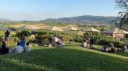 Cantine Aperte in Umbria: 44 aziende pronte ad accogliere migliaia di visitatori sabato 24 e domenica 25 maggio. Ecco cosa fare e dove andare, tutte le iniziative