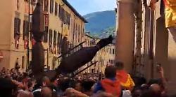 Ceri Mezzani, caduto Sant'Antonio in corso Garibaldi: il video