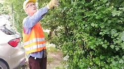 Perugia, a 86 anni pota la siepe per rendere la strada più sicura. Il super nonno si racconta: "Un po' di movimento mi aiuta"
