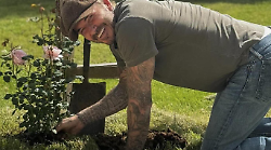 L’arte del giardinaggio conquista le star: da Nicole Kidman a David Beckham fino a Gwyneth Paltrow che coltiva ortaggi. Una terapia urbana.
