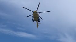 Operaio muore mentre pota gli olivi