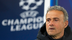 Luis Enrique, chi è l'allenatore del Paris Saint Germain. La Champions vinta contro la Juventus, i record delle finali, la perdita della figlia Xana: "Voglio piantare la bandiera del Psg con lei"