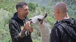 A Che ci faccio qui un rifugio da oltre 600 animali salvati dalla macellazione: anticipazioni della puntata in tv stasera su Rai 3
