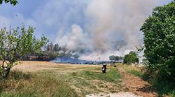 Corciano, incendio minaccia abitazioni e bosco: vigili del fuoco in azione. Operazioni ancora in corso