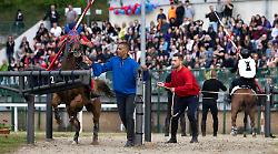 Corsa all'Anello, tutti negativi gli esiti delle analisi antidoping sui cavalli della 57esima edizione della gara equestre