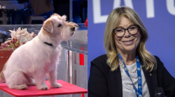 Affari Tuoi, Rita Dalla Chiesa contro l'uso degli animali in tv: "Gennarino? E' inaccettabile"