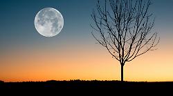 La Luna gioca a nascondino con Marte: il raro fenomeno astronomico da non perdere. Quando accade e come vederlo